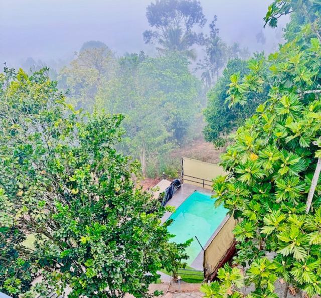 Wayanad Vista Service Apartment Εξωτερικό φωτογραφία